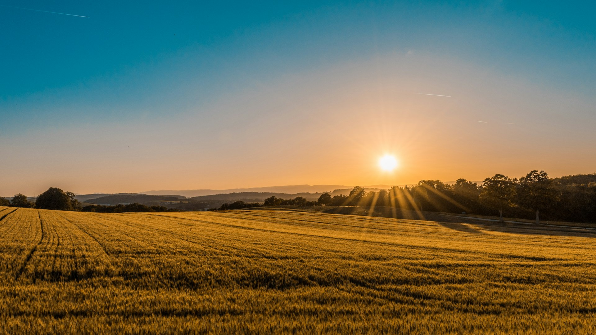 Bhoomi farm at sunrise