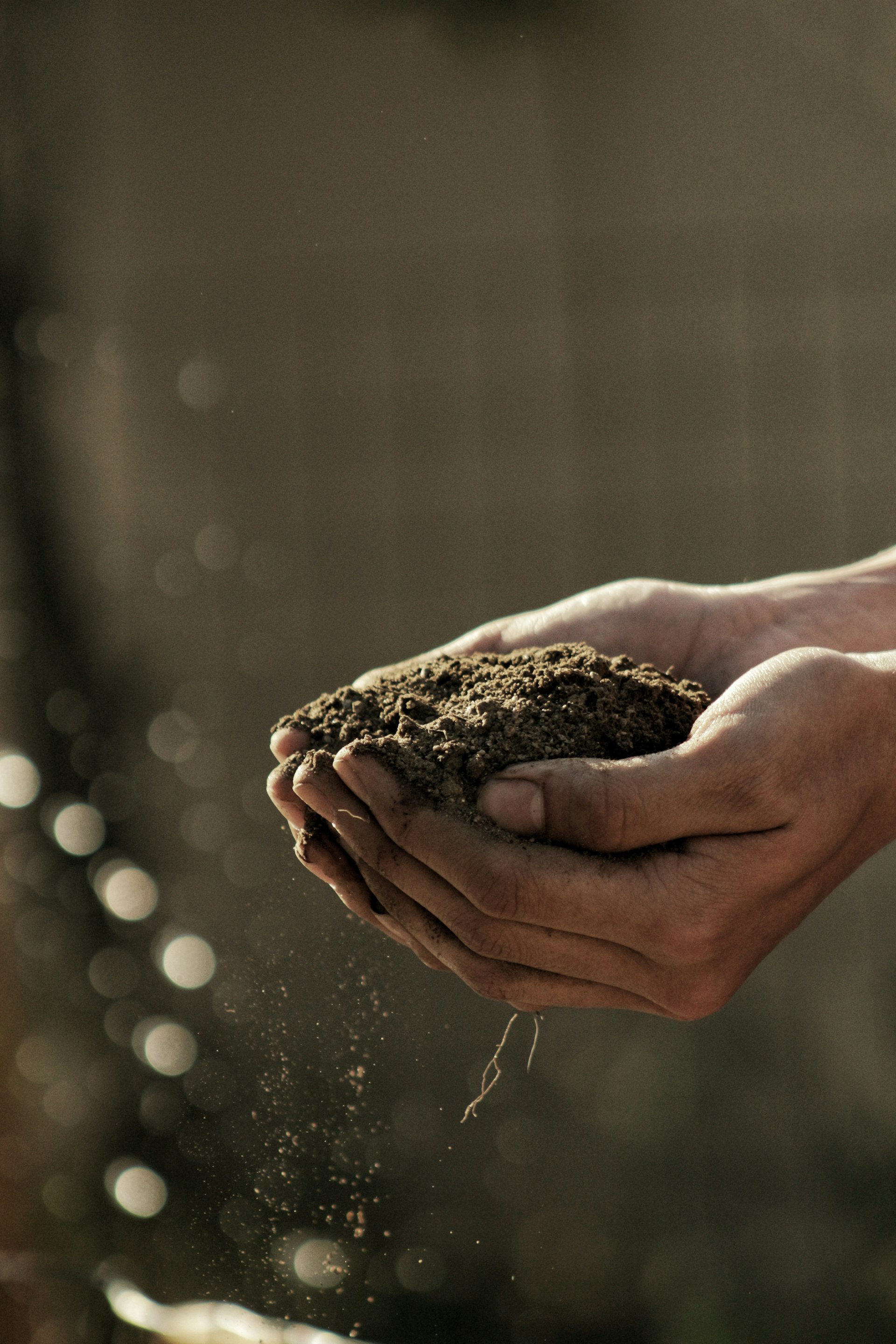 Hands holding farm soil